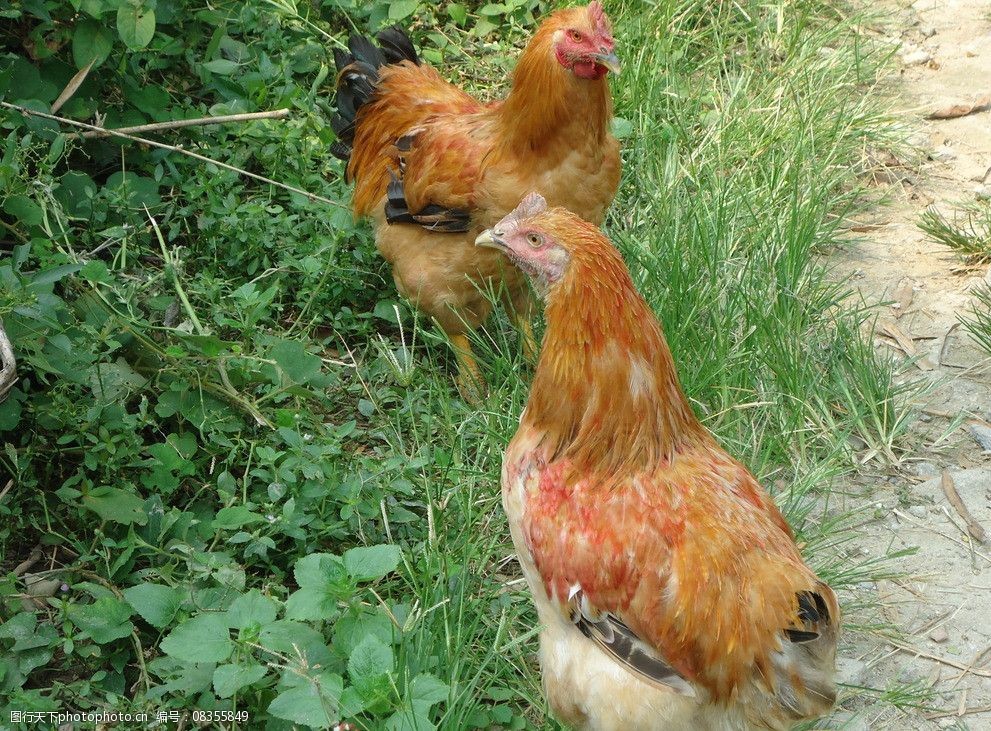 43天停摆刚完毕美政客枪口急转中方忧虑的事特朗普仍是做了