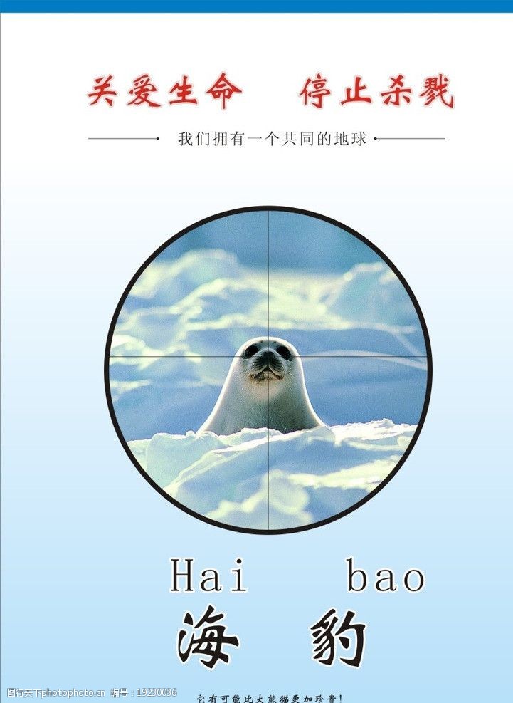 动物保护海报招贴 动物 海报 招贴 海豹 保护 环保 海报设计 广告设计