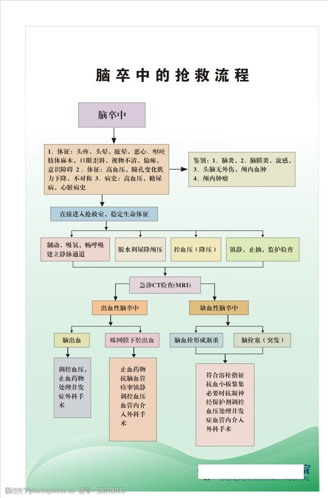 脑卒中的抢救流程