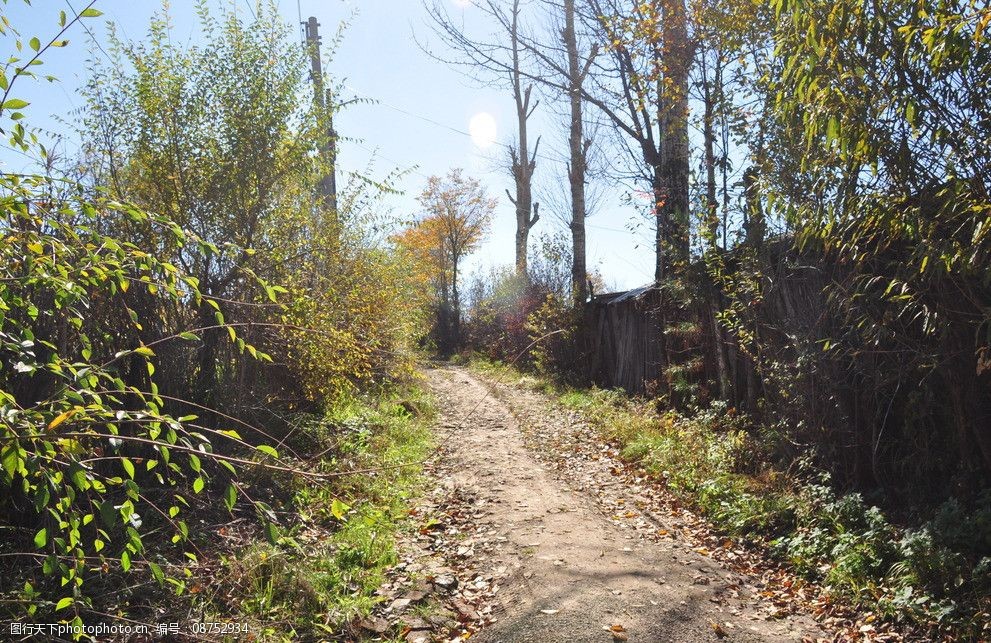 关键词:乡间小道 树林 秋季 田园 乡村 田园风光 自然景观 摄影 300