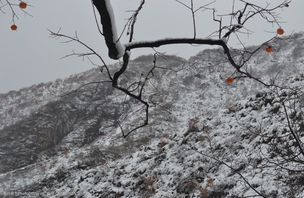 泗沟的薄雪图片