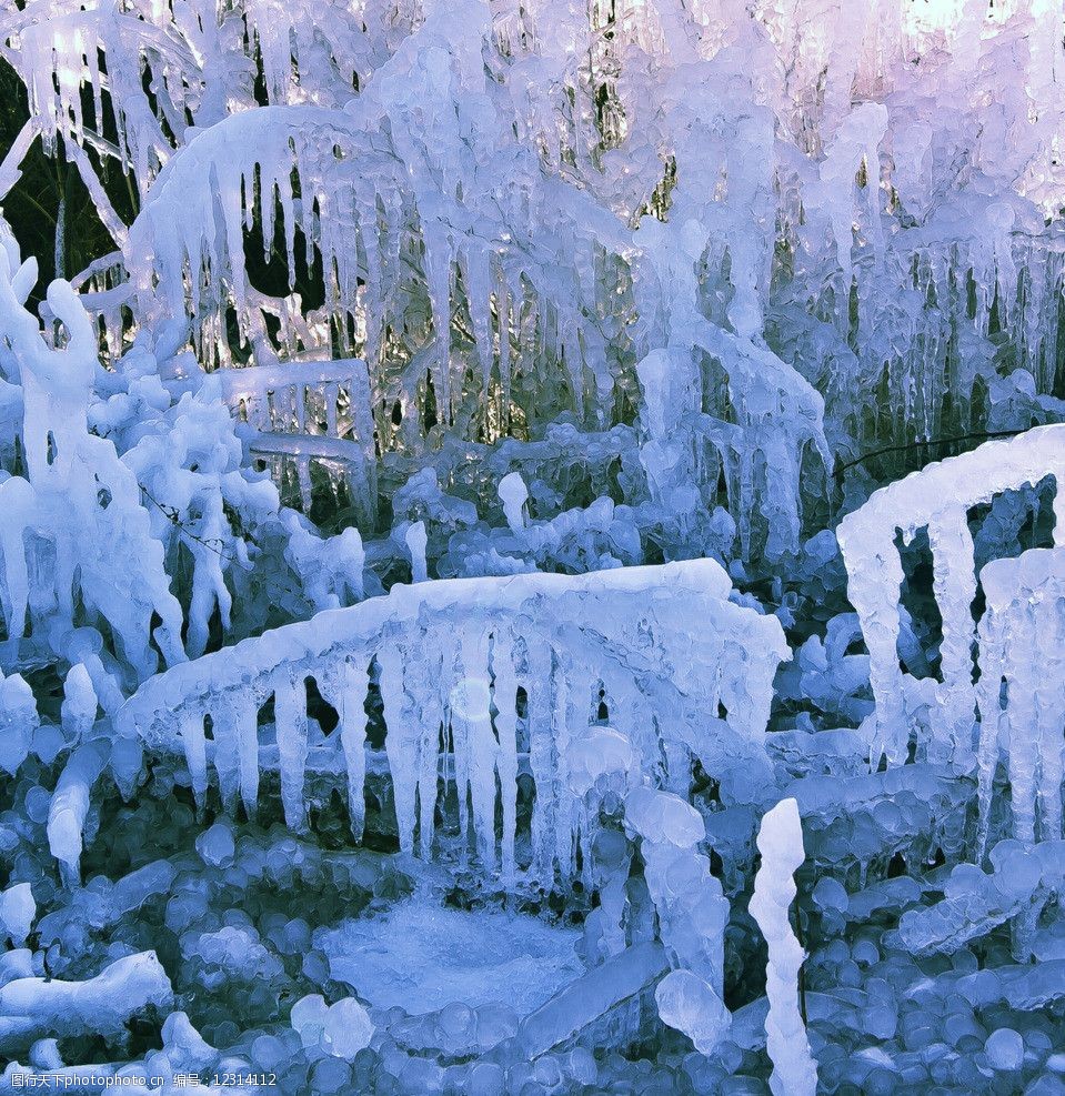 冰挂水晶花图片