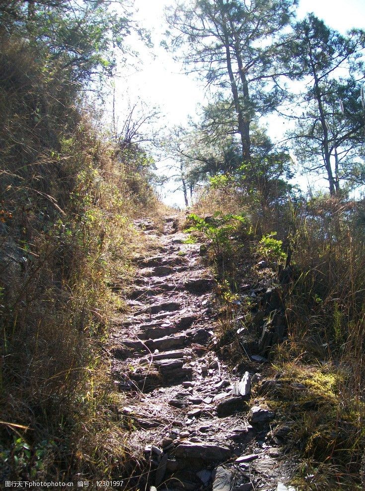 山间小道图片