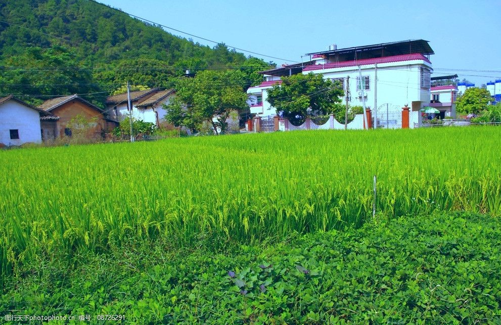 乡村风景田园风光图片