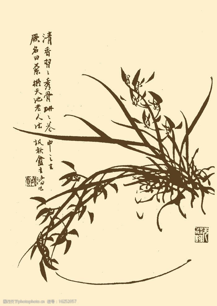 芥子园画谱兰花图片