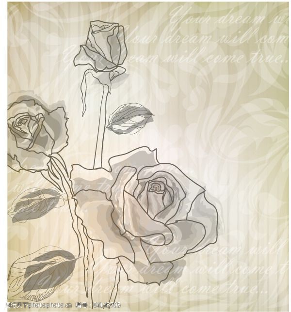 手绘 图片素材 淡彩玫瑰 线描鲜花 花卉画稿 矢量图 花纹花边