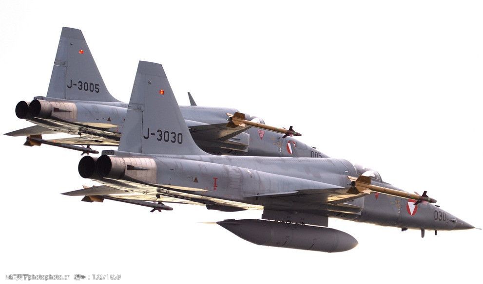 F5虎鲨战斗机图片
