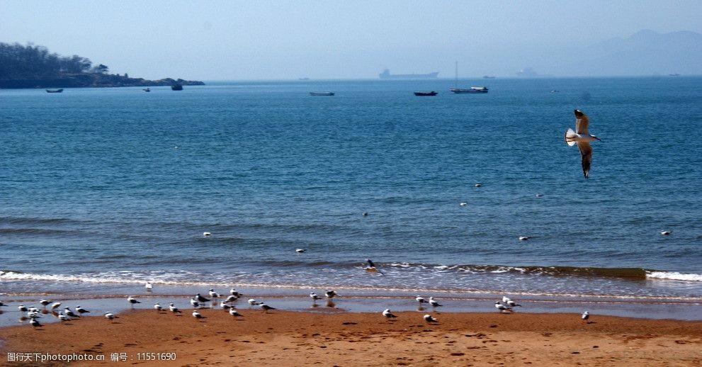 青岛海边风景图片