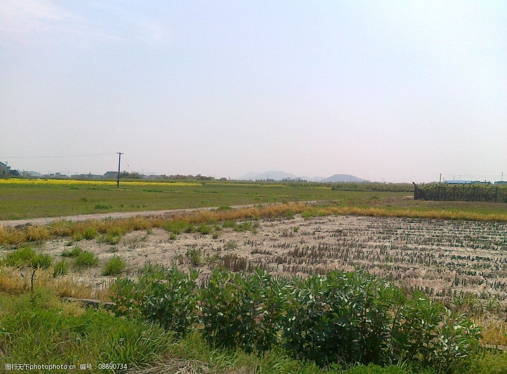 乡间田野图片