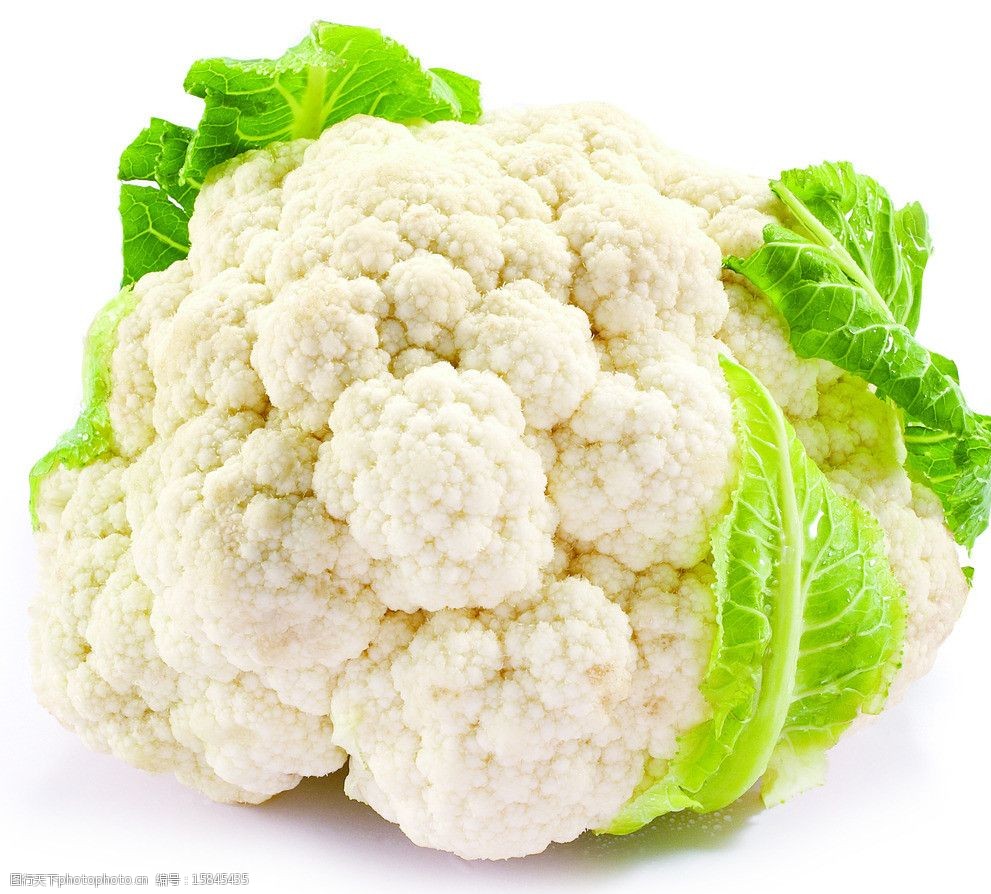 2025年12月4日江西乐平蔬菜农产品批发大市场价格行情