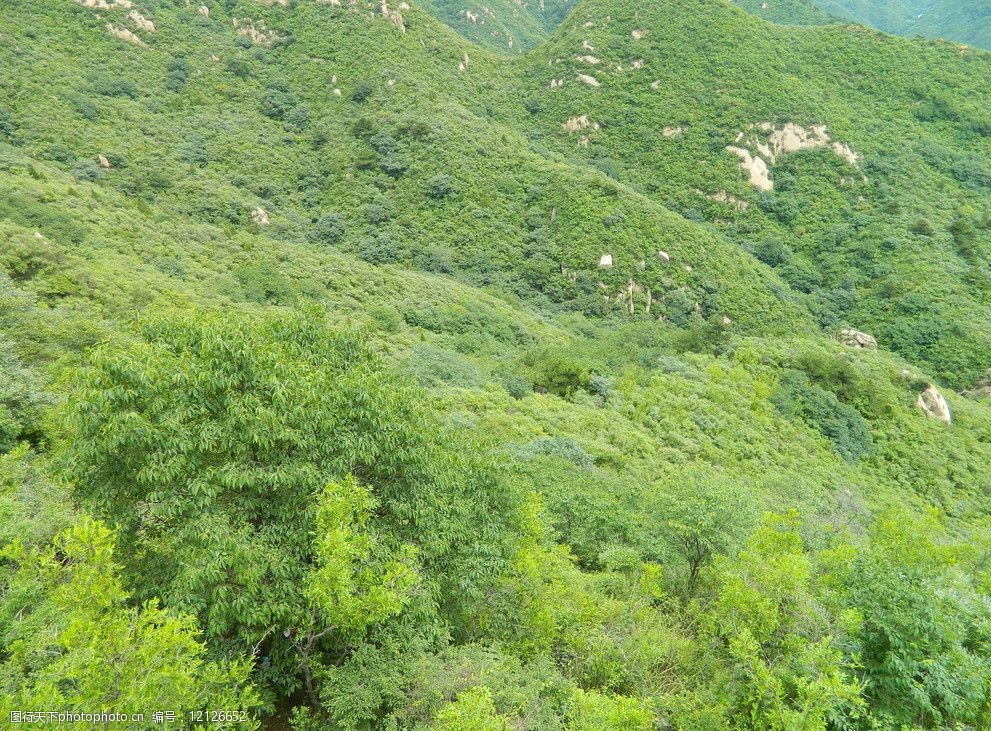 关键词:风和日丽夏日林 青山 绿林 丽日青山 大自然 绿园 自然风景