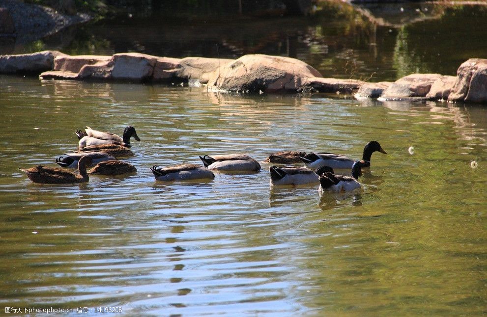 “鸭货店老板和城管争辩后脑出血逝世”官方通报