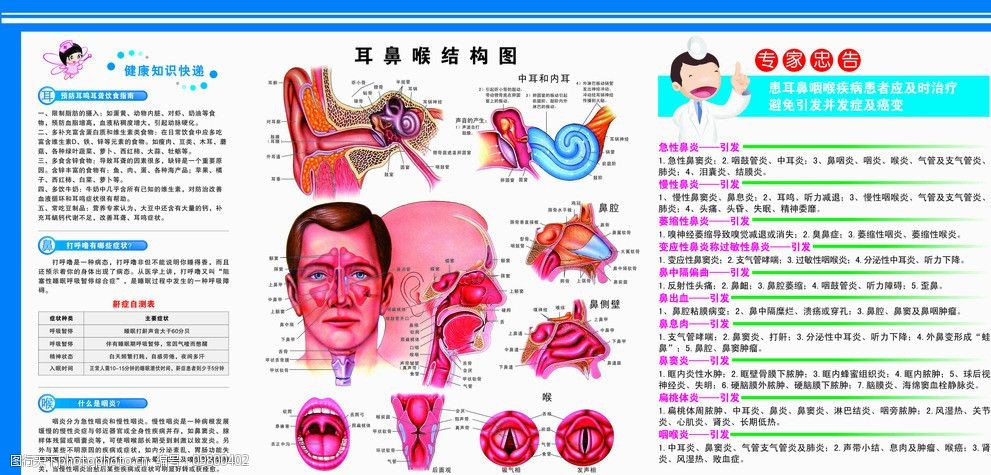 结构图 图解 耳鼻喉科 人体 人体结构 医疗保健 生活百科 矢量 cdr