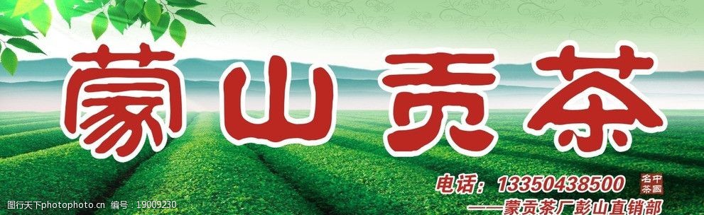 阳光 茶庄门头 茶庄招牌 祥云 茶园 茶叶 各类名茶 树叶设计 广告设计