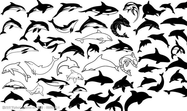 关键词:海豚剪影 海豚 鲸 动物 黑白 剪影 海洋生物 生物世界 矢量 ai