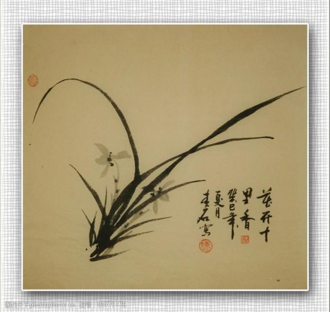 青石国画兰花图片