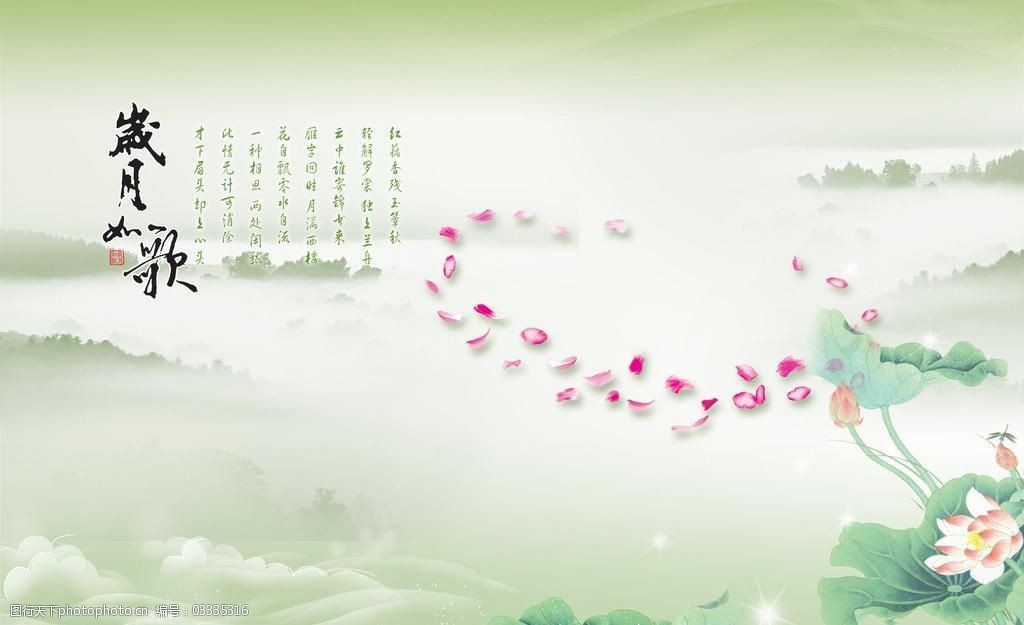 岁月如歌图片