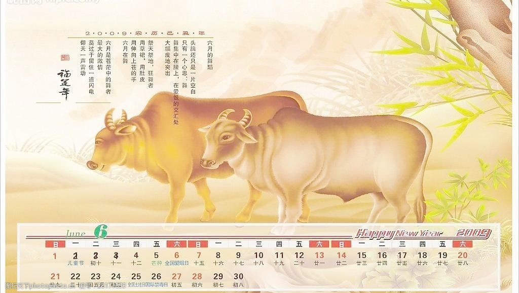 2009牛年台历图片