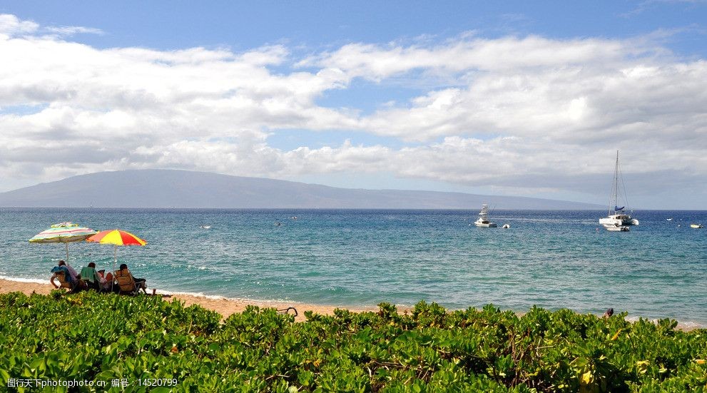 夏威夷之旅图片