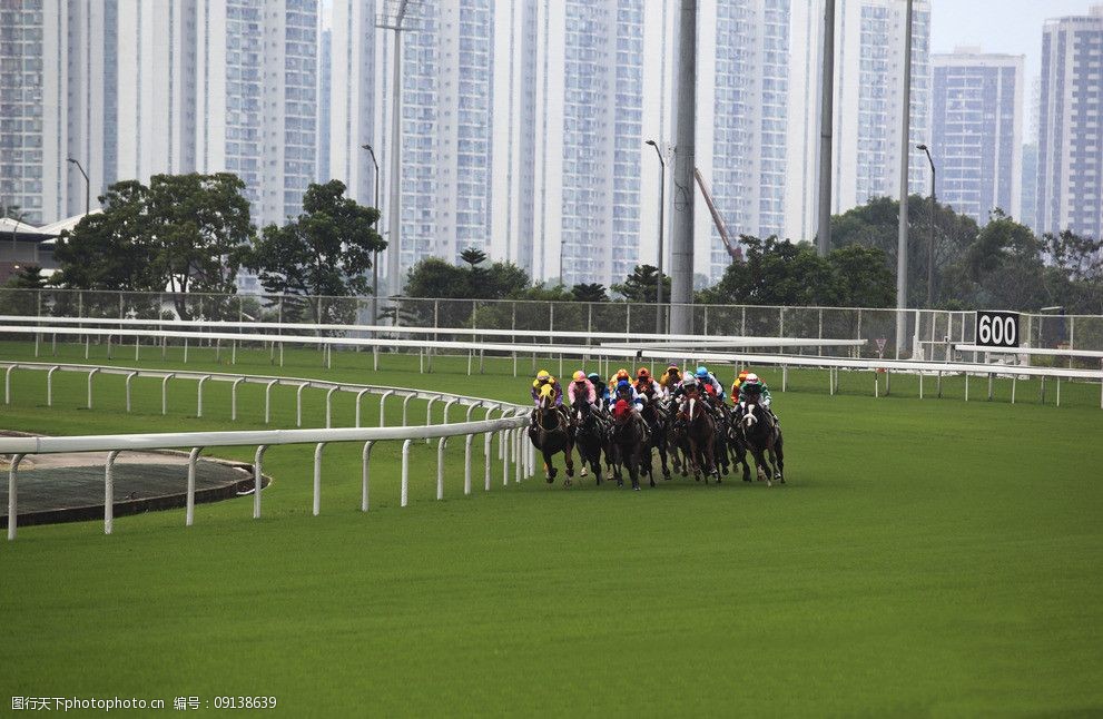 香港赛马场图片