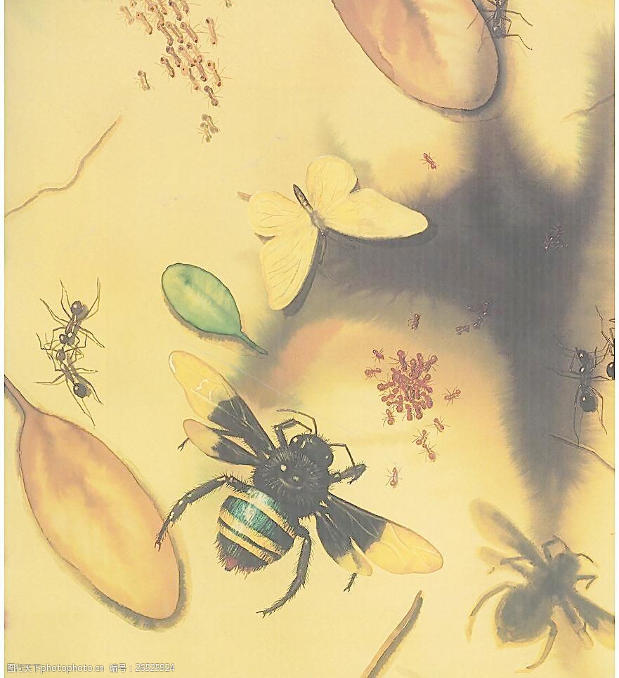 关键词:手绘蜜蜂蚂蚁 手绘 蜜蜂 蚂蚁 微观 昆虫 生物 蝴蝶 生物世界