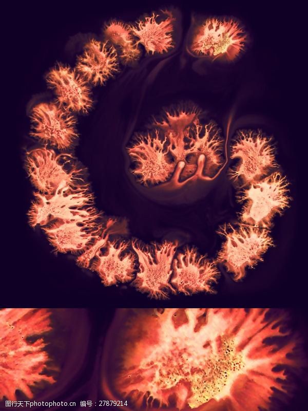 位图插画师俄罗斯ruslankhasanov免费素材