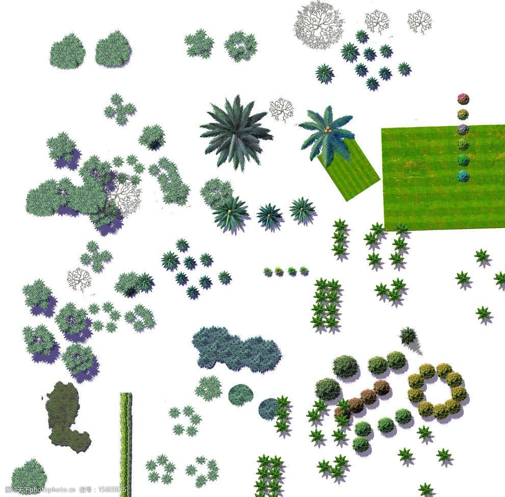 关键词:平面树 景观设计 园林 景观 彩平素材 psd分层素材 源文件 300