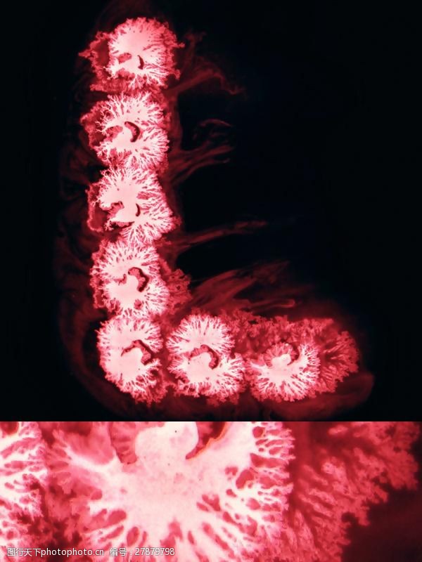 位图插画师俄罗斯ruslankhasanov免费素材