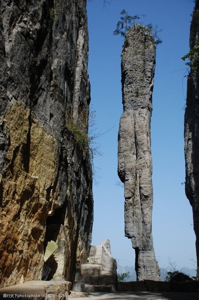 关于咱们-中羽在线