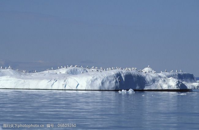 冰川南极北极