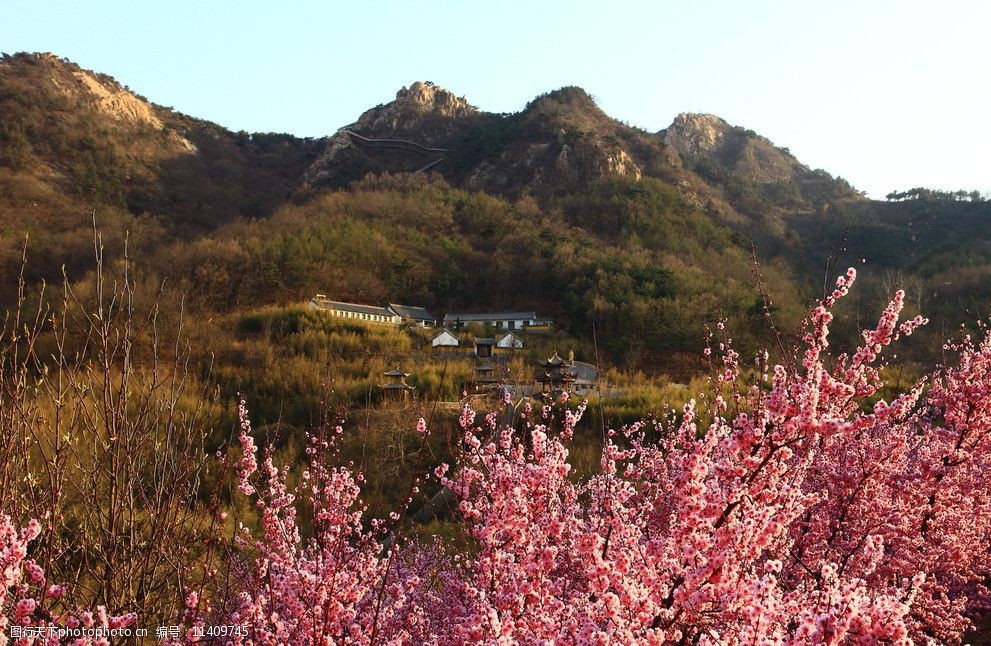 关键词:自然风景 海阳 云顶 风景区 春天 开花 山峰 自然 天然 海阳