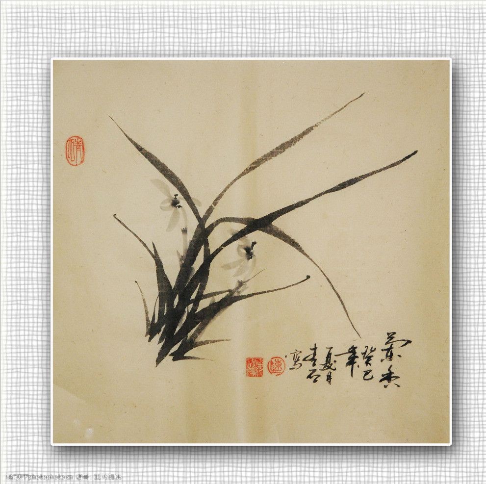 关键词:青石国画兰花 青石 国画 兰花 国画兰花 写意兰花 墨兰 绘画