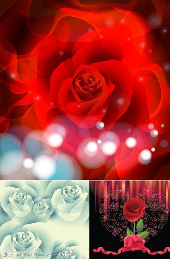 浪漫唯美玫瑰花背景图片