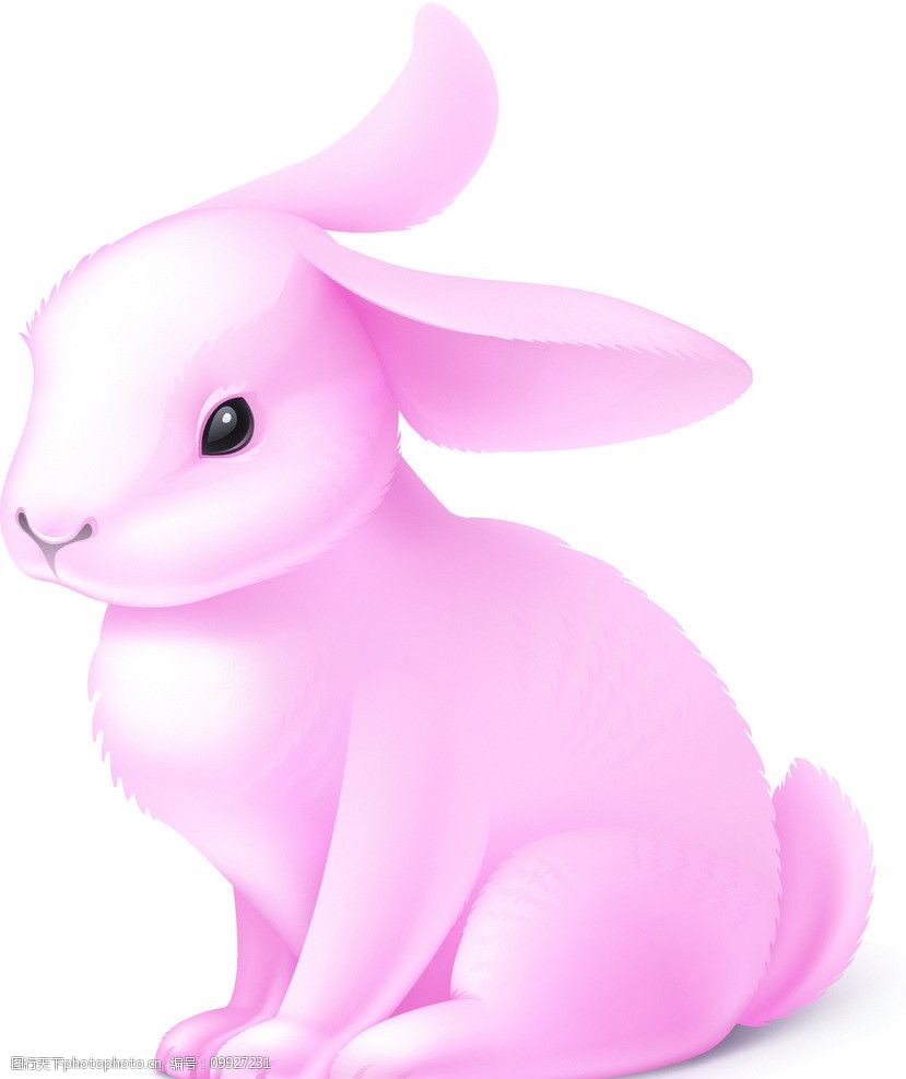 关键词:卡通兔 小动物 动物 可爱 兔子 漫画 卡通 插画 粉色 其他