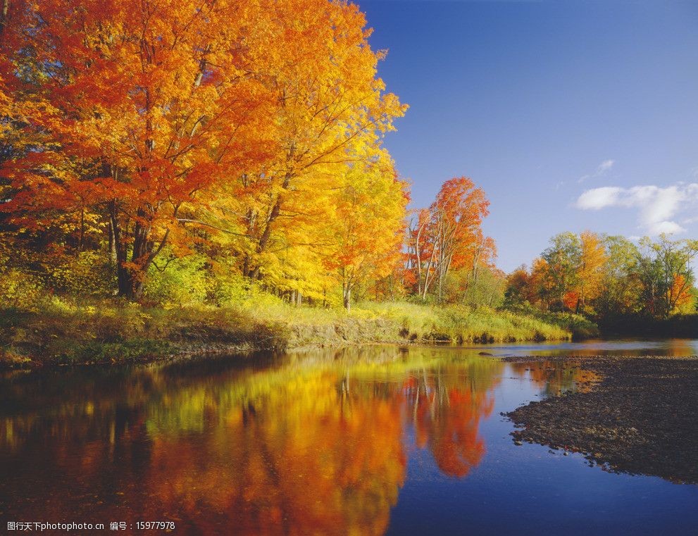 关键词:秋季湖面 秋季 湖面 平静的湖 秋季的树 岸边 山水风景 自然