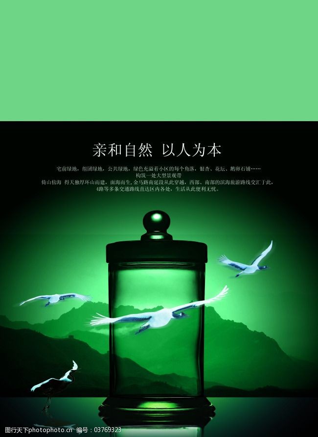 茶杯 茶杯