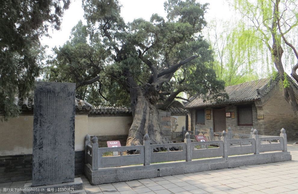 嵩阳书院大将军图片