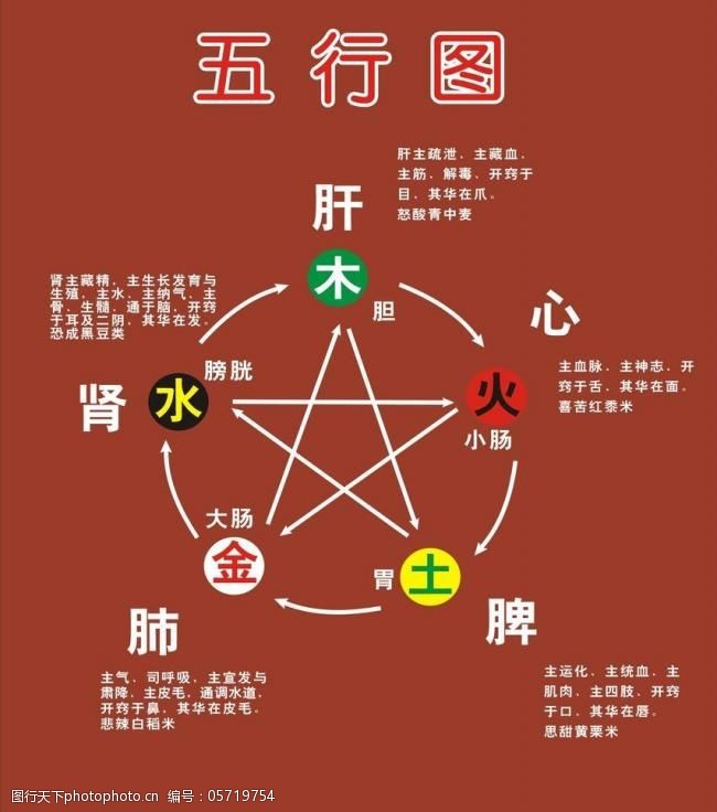 医疗五行图图片