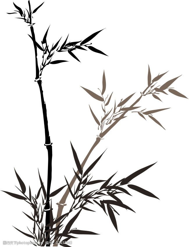 关键词:姿态请把的竹子竹叶免费下载 花卉 水墨 写意 中国画 竹子