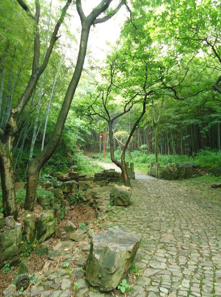 关键词:苏州穹窿山风景 苏州 穹窿山 风景 小路 树木 绿色 自然 国内