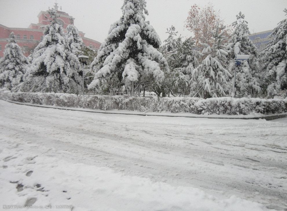 雪中的道路图片