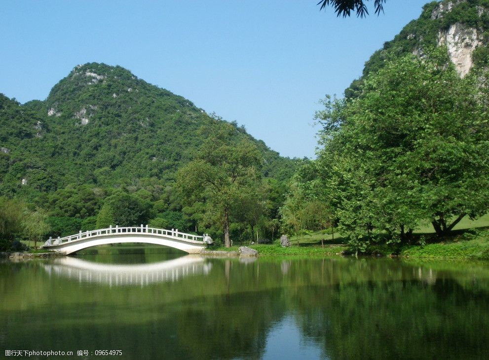 天空树林山草地图片