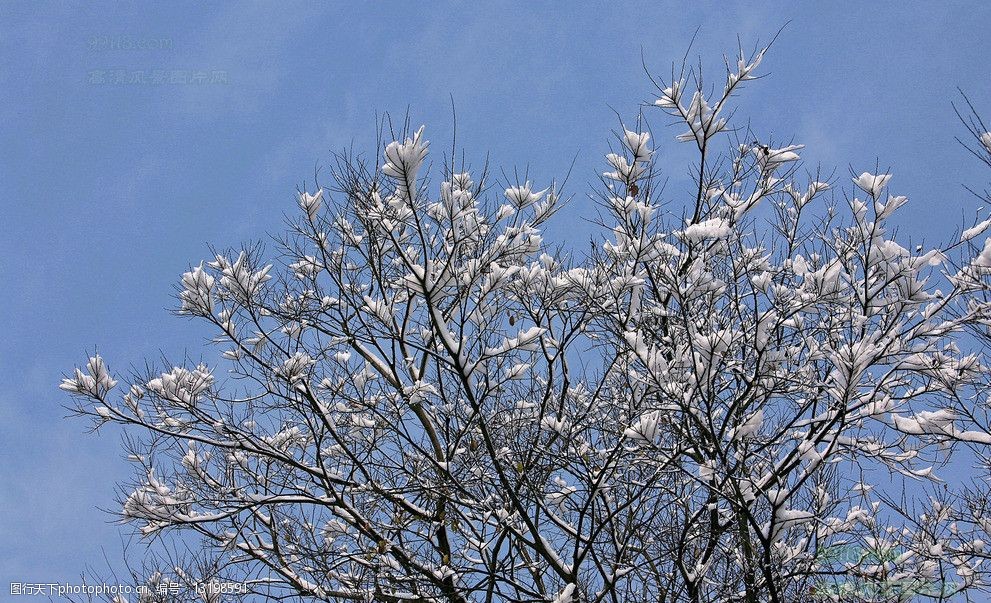 冬季雪後初晴圖片