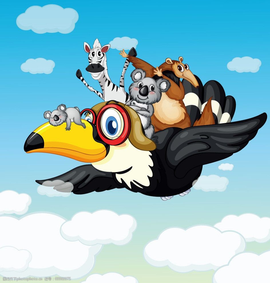 飞翔的动物图片