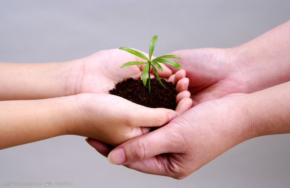 手捧植物图片