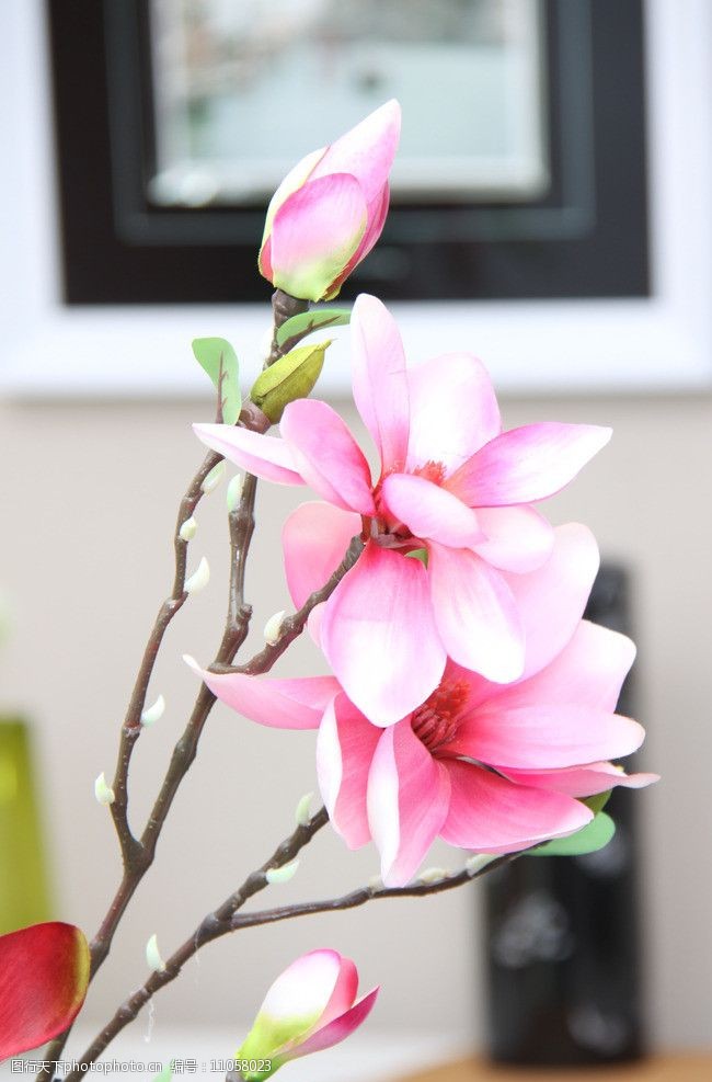 关键词:单枝艳丽玉兰 花 玉兰花 家居饰品 家居装饰花 尚居家饰产品