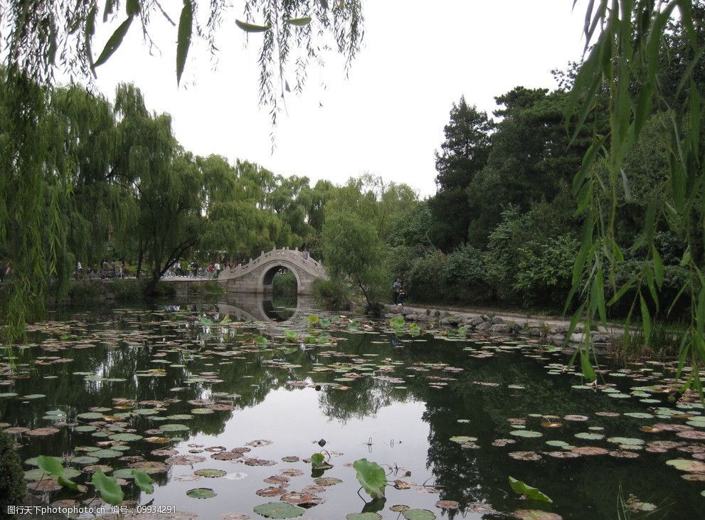 清华荷塘水榭图片