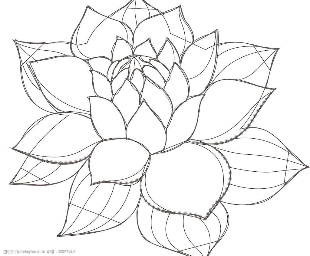 中国元素荷花图片