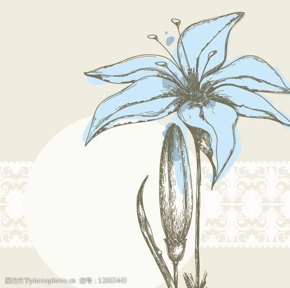 花 百合 蓝色的花 美图 美丽的花 好看的花 花蕊 开放的花朵 其他设计