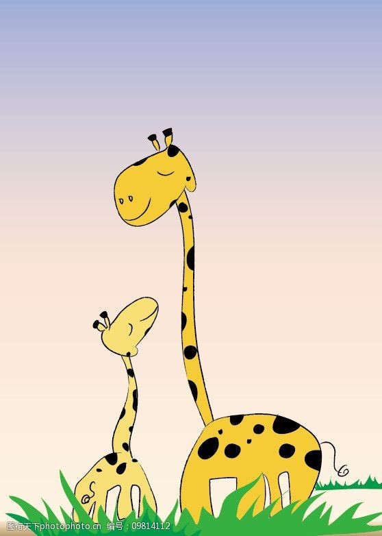 大草原上的长颈鹿图片